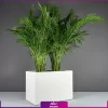 خرید گلدان سفارشی | گلدان سفارشی فایبرگلاس در رنگ های مختلف همراه با گیاه-
