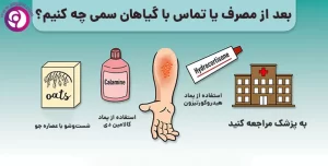 گل فروشی آنلاین | سفارش آنلاین گل - انگور
