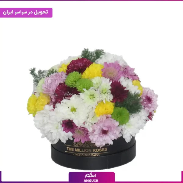 خرید گل داوودی سبز- خرید آنلاین گل داوودی- انگور