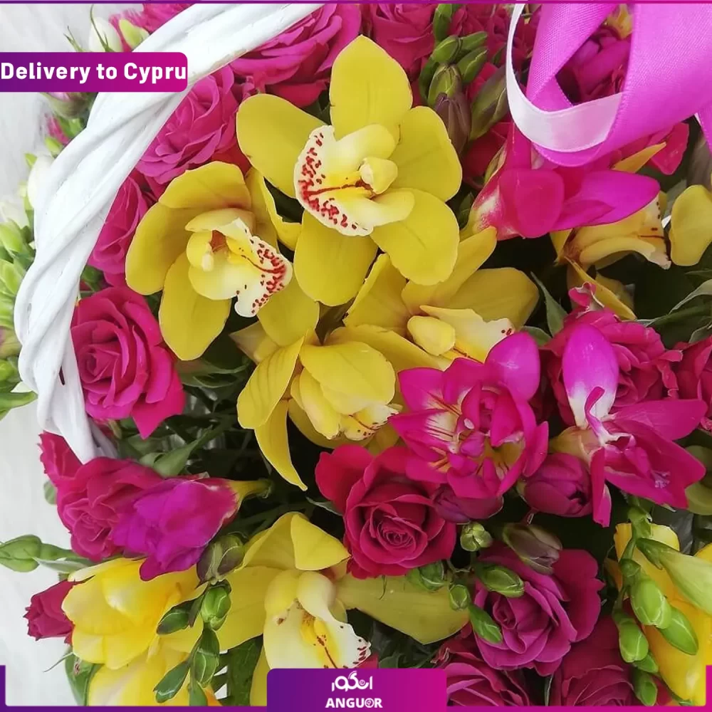 خرید باکس گل- ارسال باکس گل به خارج-ارسال هدیه به قبرس-انگور