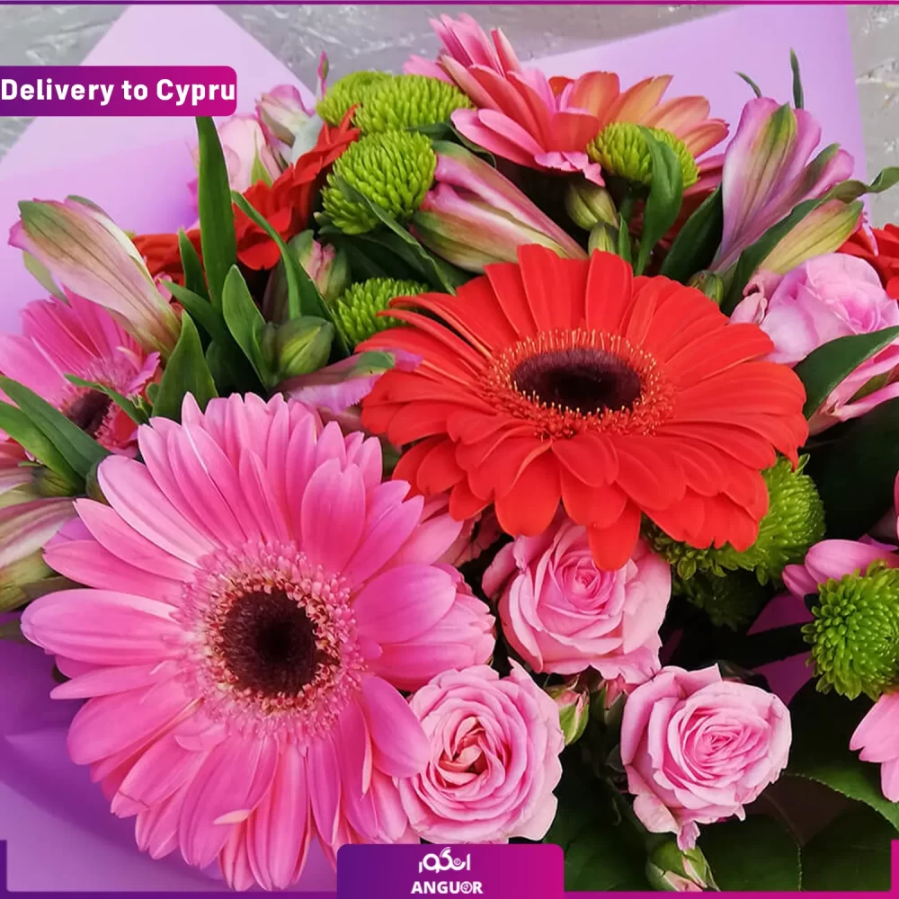 ارسال دسته گل به قبرس- ارسال گل به خارج از کشور-ارسال هدیه به خارج-انگور