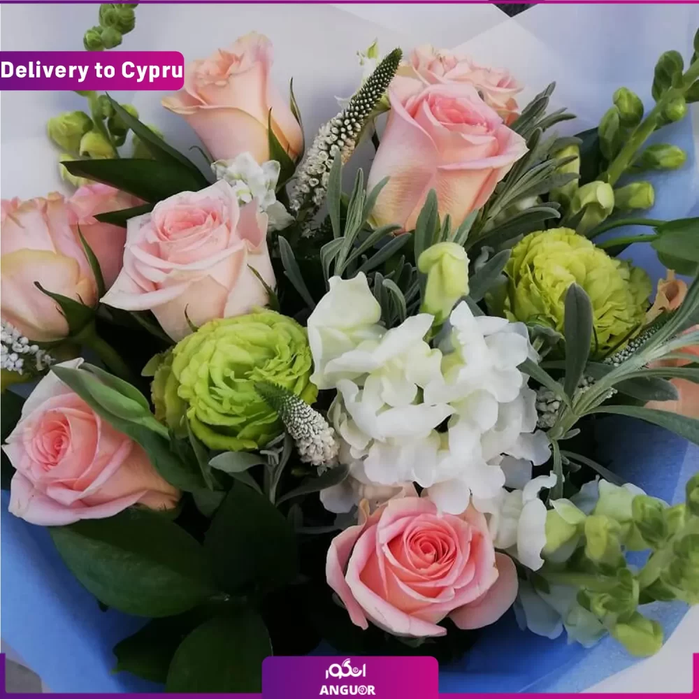 ارسال دسته گل به قبرس- ارسال گل به خارج از کشور-ارسال هدیه به خارج-انگور