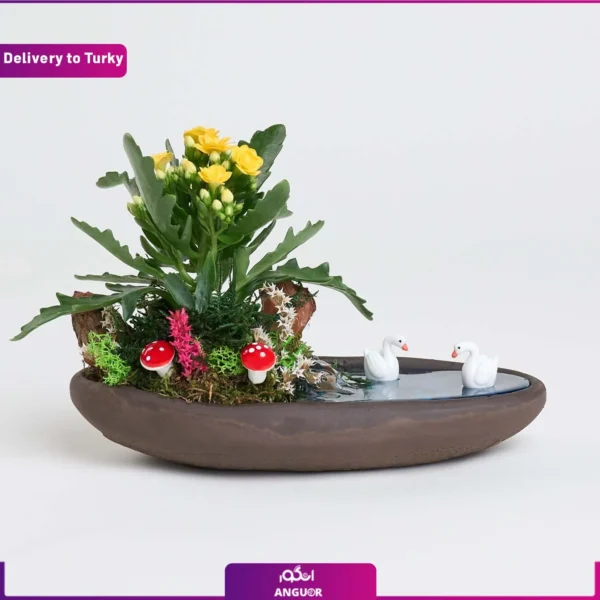 گل کالانکوئه به همراه تزئینات و ارسال به ترکیه