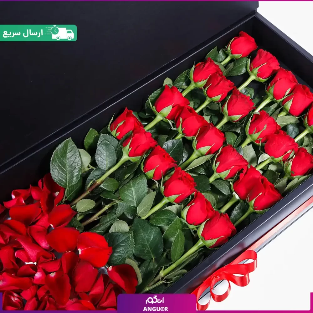 Red roses flower box - انگور
