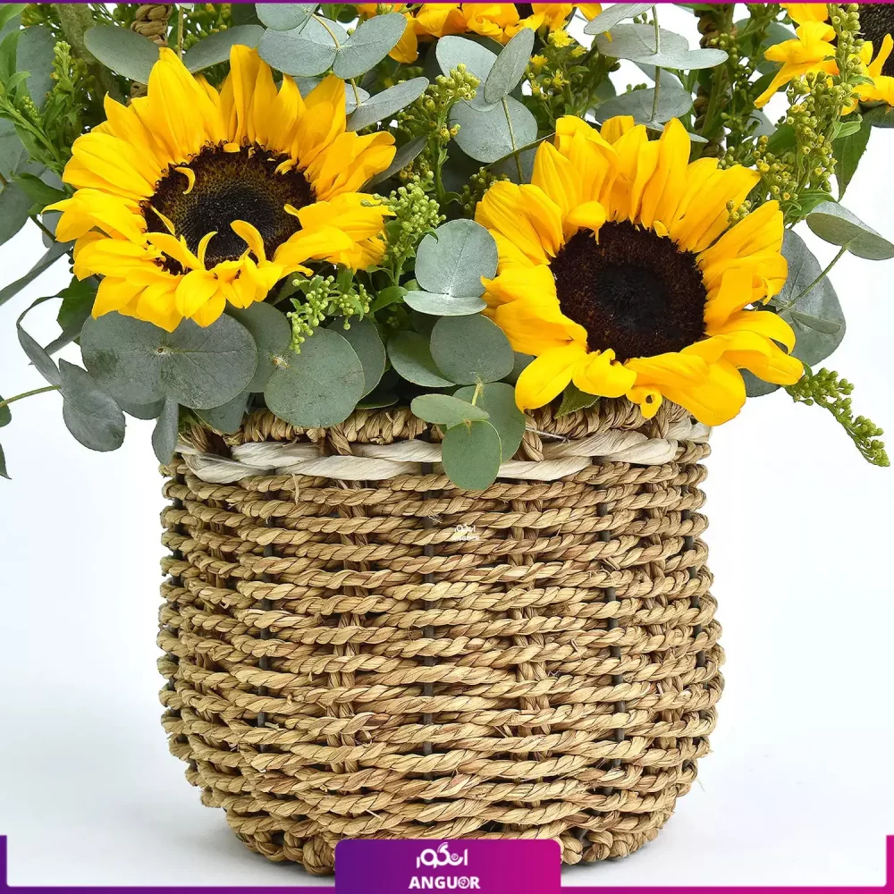 Sunflower Shine Basket And Cake (طرح بین الملل کلاسیک) - انگور