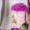 باکس گل عروس (ژیپسوفیلا صورتی) - خرید باکس ژیپسی - انگور