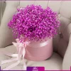 باکس گل عروس (ژیپسوفیلا صورتی) - خرید باکس ژیپسی - انگور