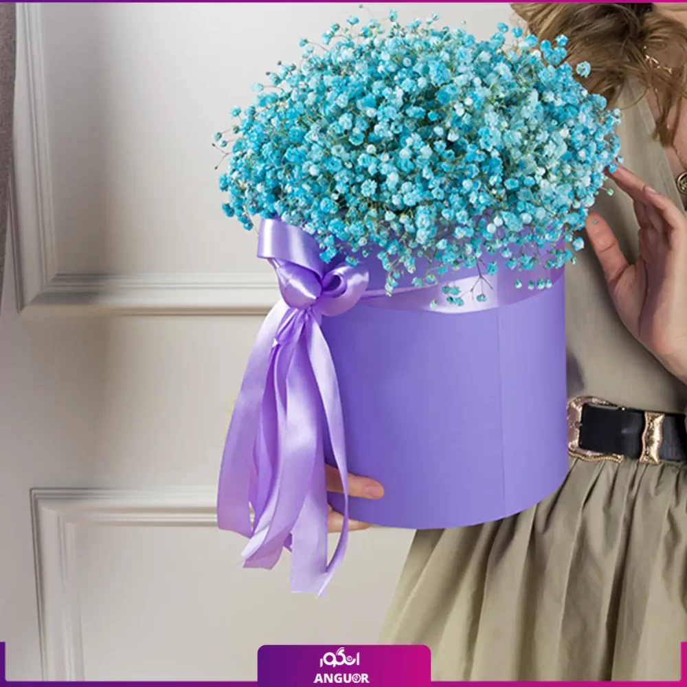 باکس گل ژیپسوفیلا فیروزه ای (گل عروس)- خرید باکس ژیپسوفیلا - انگور