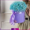باکس گل ژیپسوفیلا فیروزه ای (گل عروس)- خرید باکس ژیپسوفیلا - انگور