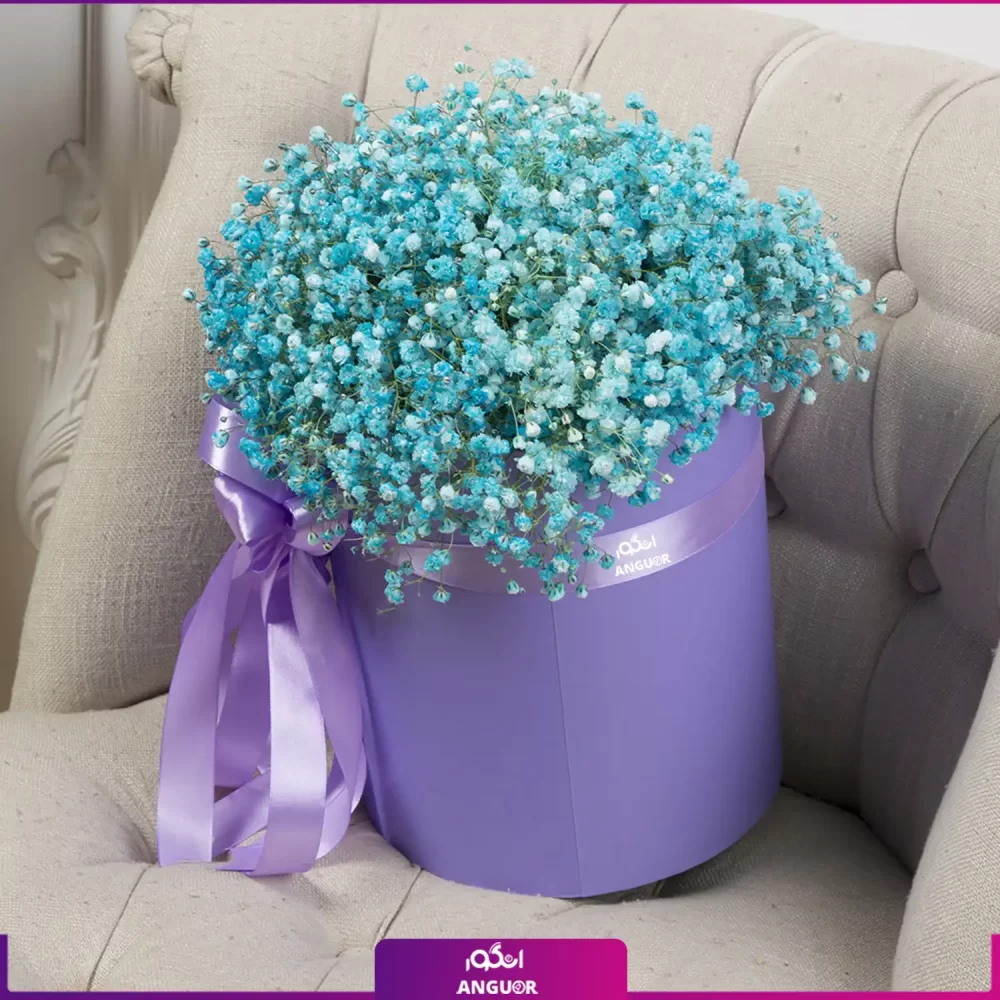 باکس گل ژیپسوفیلا فیروزه ای (گل عروس)- خرید باکس ژیپسوفیلا - انگور