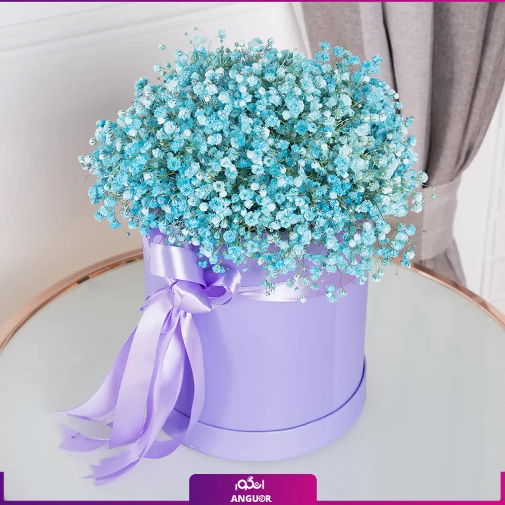 باکس گل ژیپسوفیلا فیروزه ای (گل عروس)- خرید باکس ژیپسوفیلا - انگور