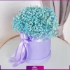 باکس گل ژیپسوفیلا فیروزه ای (گل عروس)- خرید باکس ژیپسوفیلا - انگور