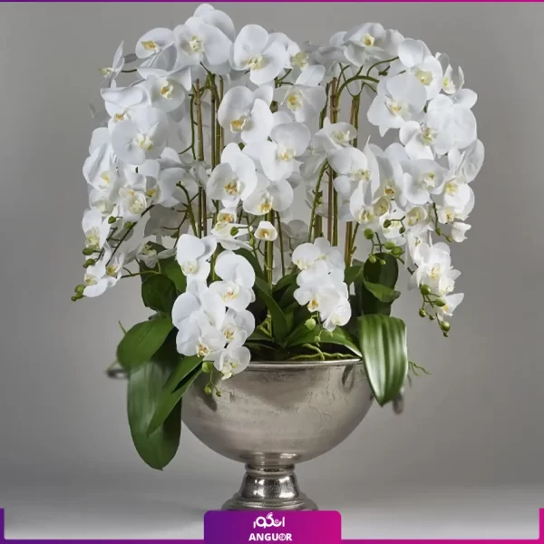 خرید + سفارش + قیمت + عکس جام گلدان ارکیده سفید (8 شاخه)