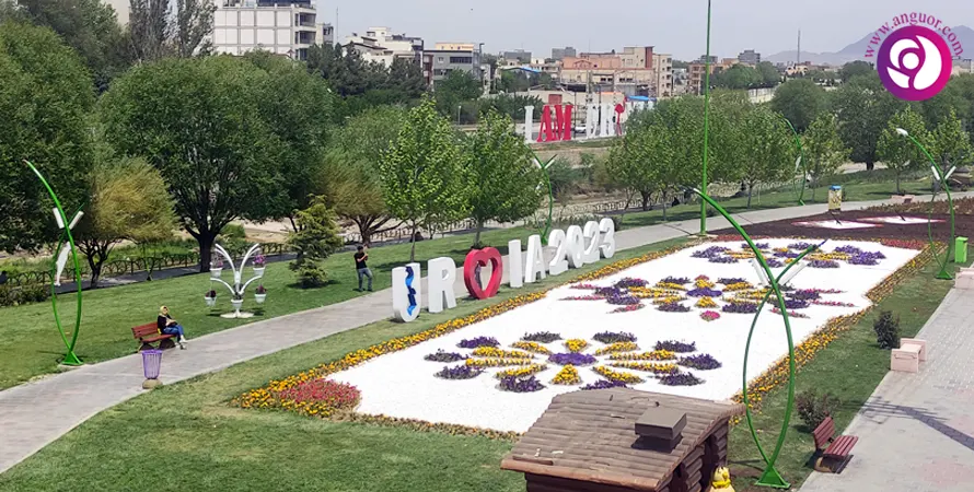 یازدهمین جشنواره گلها در ارومیه (12 اردیبهشت 1402) - انگور
