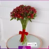 دسته گل 20 شاخه آلسترومریا قرمز - خرید آنلاین گل - انگور