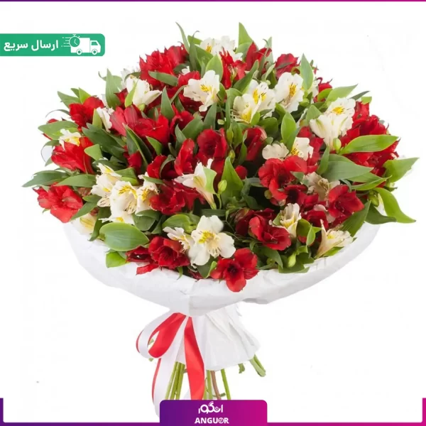 دسته گل آلسترومریا قرمز و سفید (40 شاخه) - ارسال فوری گل - انگور