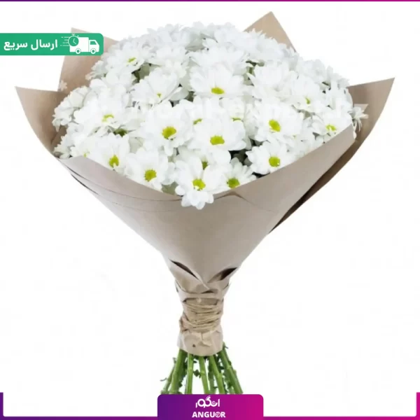 خرید گل داوودی سفید- انگور- خرید آنلاین گل