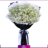 | قیمت گل ژیپسوفیلا رنگی | قیمت گل عروس هلندی | خرید گل ژیپسوفیلا| دسته گل ژیپسوفیلا سفید (گل عروس)