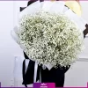 | قیمت گل ژیپسوفیلا رنگی | قیمت گل عروس هلندی | خرید گل ژیپسوفیلا| دسته گل ژیپسوفیلا سفید (گل عروس)