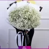 | قیمت گل ژیپسوفیلا رنگی | قیمت گل عروس هلندی | خرید گل ژیپسوفیلا| دسته گل ژیپسوفیلا سفید (گل عروس)