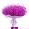 قیمت گل ژیپسوفیلا رنگی | قیمت گل عروس هلندی | خرید گل ژیپسوفیلا| دسته گل ژیپسوفیلا صورتی (گل عروس) - انگور