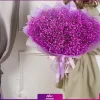 قیمت گل ژیپسوفیلا رنگی | قیمت گل عروس هلندی | خرید گل ژیپسوفیلا| دسته گل ژیپسوفیلا صورتی (گل عروس) - انگور