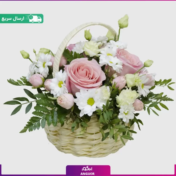 خرید سبد گل مینیاتوری قیمت مناسب و ارزان- رز مینیاتوری صورتی- خرید آنلاین گل- انگور