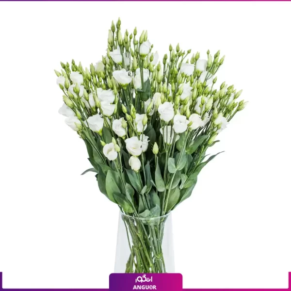 خرید + سفارش + قیمت گلدان شیشه ای با لیسیانتوس سفید