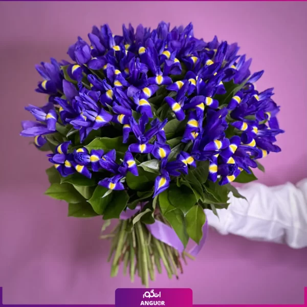 خرید دسته گل زنبق - سفارش آنلاین گل - سفارش دسته گل زنبق-انگور