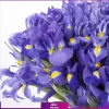 خرید دسته گل زنبق بنفش -سفارش سته گل زنبق ارزان - گلفروشی آنلاین انگور