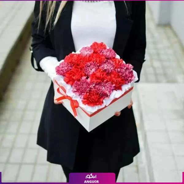 باکس گل میخک قرمز - خرید آنلاین گل - انگور