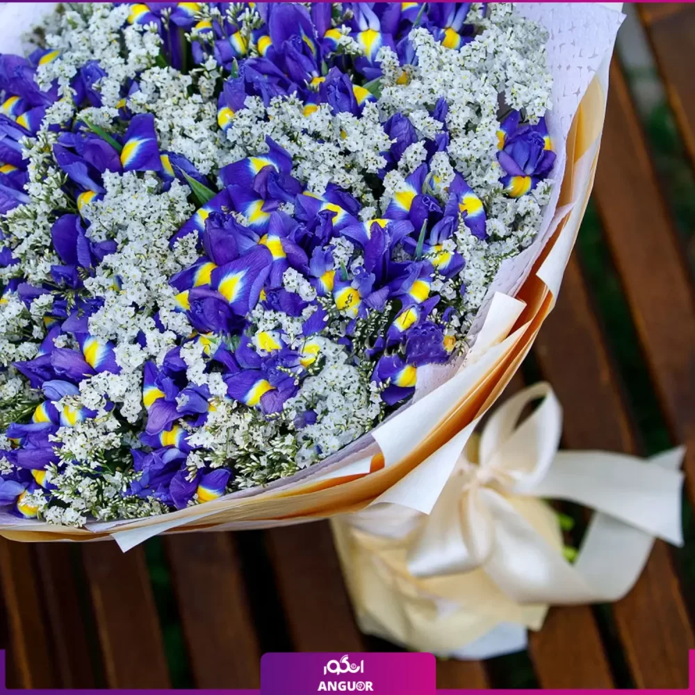 خرید و سفارش دسته گل زنبق بنفش و گل عروس - انگور