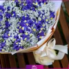 خرید و سفارش دسته گل زنبق بنفش و گل عروس - انگور