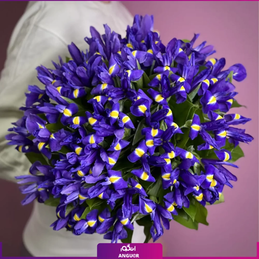 خرید دسته گل زنبق - سفارش آنلاین گل - سفارش دسته گل زنبق-انگور