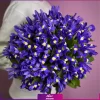 خرید دسته گل زنبق - سفارش آنلاین گل - سفارش دسته گل زنبق-انگور