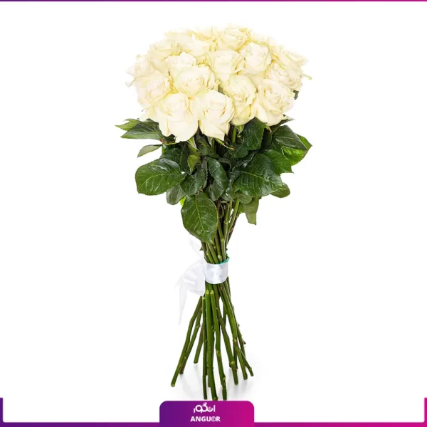 خرید و سفارش دسته گل رز سفید - سته گل رز 19 شاخه - دسته گل 70 سانتی-انگور