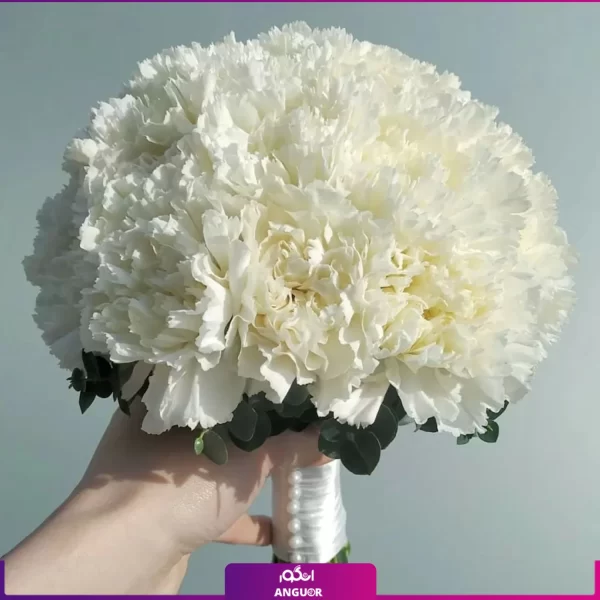 دسته گل عروس با میخک سفید - خرید آنلاین گل - انگور