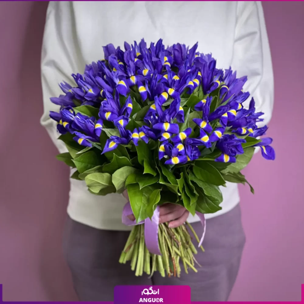 خرید دسته گل زنبق بنفش - سفارش آنلاین گل - انگور