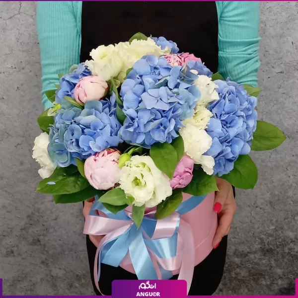 باکس گل هورتانسیا آبی به همراه گلهای زیبا - خرید آنلاین گل - انگور