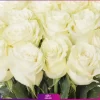 خرید و سفارش دسته گل رز سفید - سته گل رز 19 شاخه - دسته گل 70 سانتی-انگور