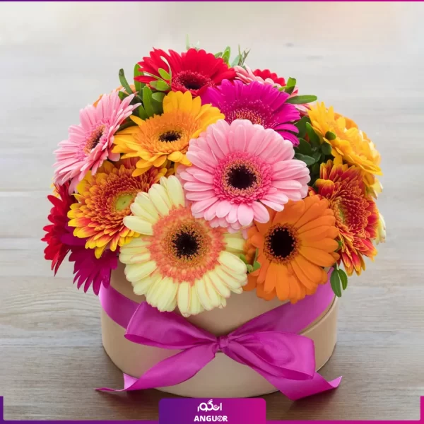 سفارش آنلاین گل - خرید باکس گل -باکس گل ژربرا-عکس+قیمت-انگور