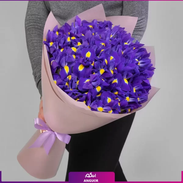 خرید و سفارش دسته گل - ارسال دسته گل زنبق بنفش -انگور