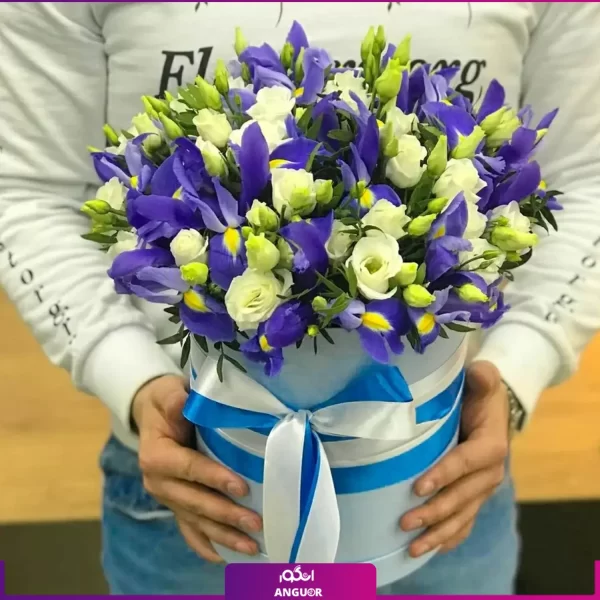 خرید باکس گل زنبق بنفش و لیسیانتوس سفید - سفارش آنلاین گل - انگور