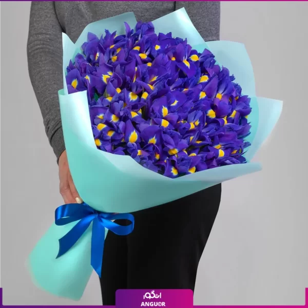 خرید و سفارش دسته گل زنبق - خرید دسته گل زنبق - انگور