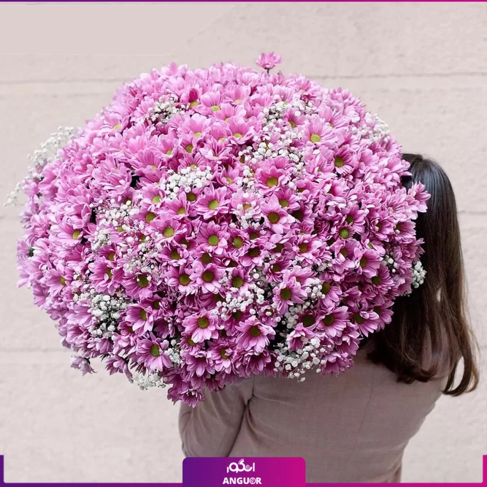 دسته گل داوودی و عروس - انگور- خرید دسته گل داوودی صورتی