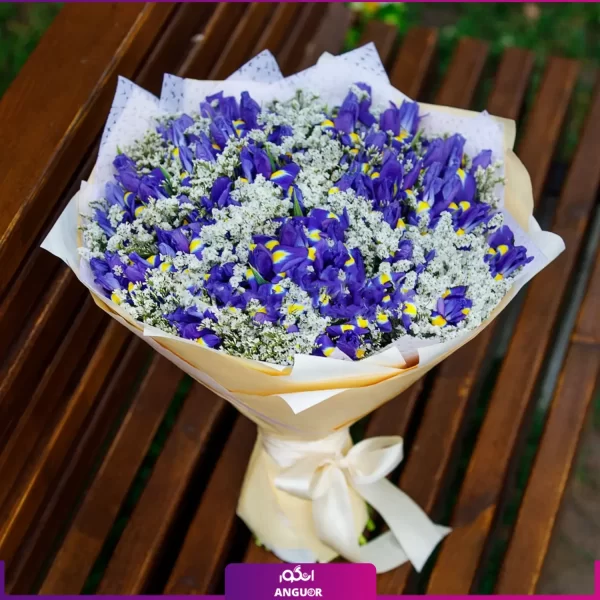 خرید و سفارش دسته گل زنبق بنفش و گل عروس - انگور