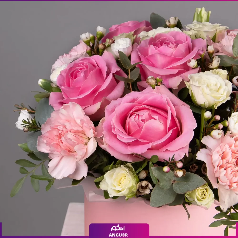 خرید و سفارش آنلاین گل - باکس گل میخک و گل رز-انگور