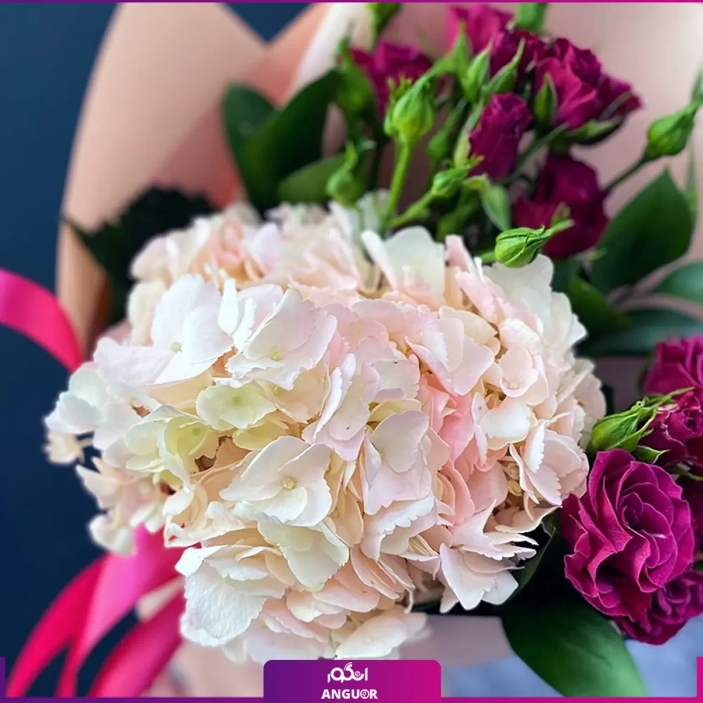 دسته گل ادریسی سفید و رز سرخابی - خرید گل ادریسی - انگور