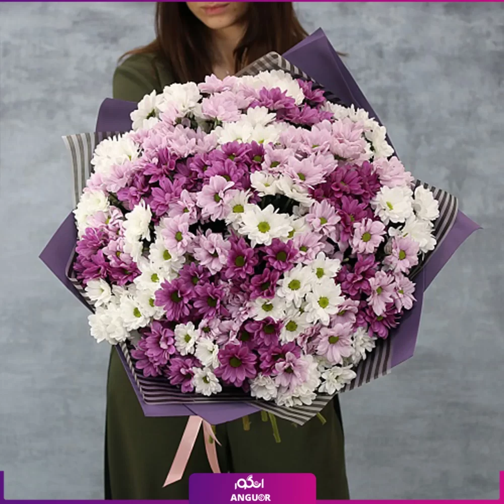 خرید آنلاین گل داوودی صورتی و بنفش- دسته گل داوودی سه رنگ - خرید گل داوودی - انگور