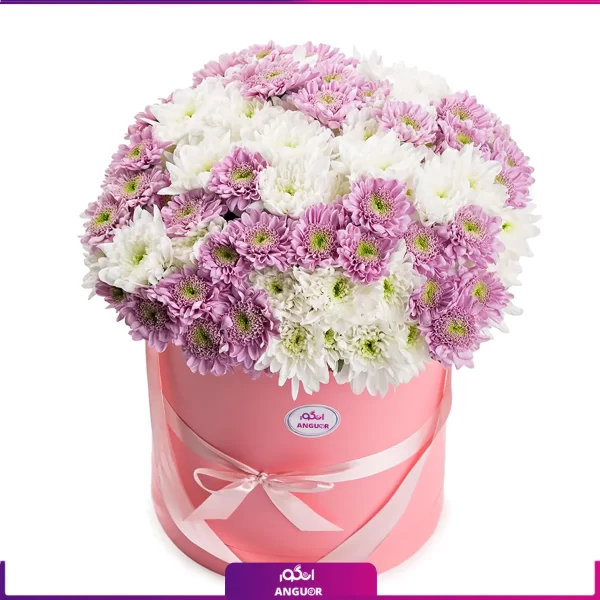 خرید باکس گل داوودی سفید و صورتی- خرید آنلاین گل- خرید باکس گل- انگور